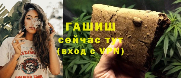 хмурый Новозыбков