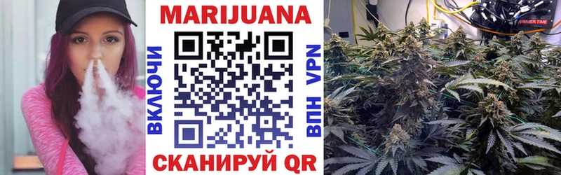 Конопля SATIVA & INDICA  blacksprut зеркало  Михайловск 